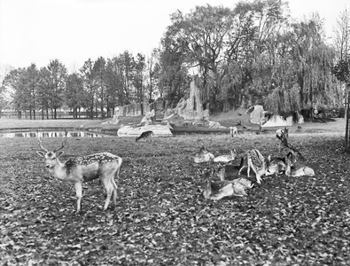 128957 Gezicht op het hertenkamp in het Julianapark te Zuilen.N.B. Het Julianapark is per 1 januari 1954 bij de ...